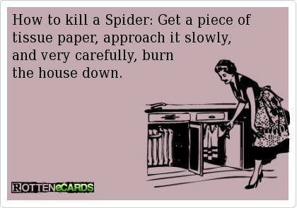how_to_kill_a_spider