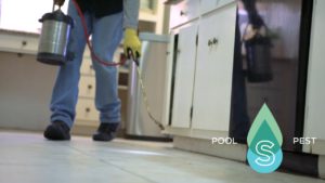 Discover the power of Triangle Pest Control with Simpl. Learn how to keep pests out by tackling food, water, and shelter. Visit our San Antonio page for expert services!