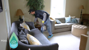 Looking for simply pest control? Simpl Pest Control offers fast, effective, and family-friendly pest solutions in San Antonio. Schedule your service now!