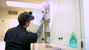 Tired of finding a bug in the kitchen? Simpl Pest Control offers expert pest removal in San Antonio. Get your kitchen bug-free today!