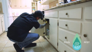 Water bugs or roaches? Learn the difference and how to keep both pests out of your home with Simpl Pest Control’s expert services in San Antonio. Call us today!