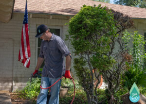 Get rid of pests without signing a contract. Simpl offers effective pest control solutions to keep your home bug-free.