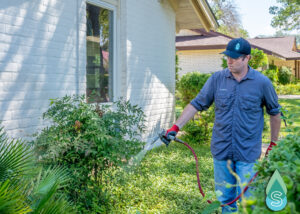 Searching for the best pest control in San Antonio? Simpl Pest Control delivers fast, effective, and eco-friendly solutions. Call us today!