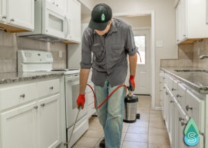 Professional pest control service in a kitchen to eliminate common over 200 household pests Tired of sharing your home with wolf spiders? Simpl offers expert pest control for wolf spiders in San Antonio. Learn more at https://verysimpl.com/pest-control-service-san-antonio. Take control today!