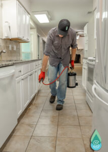 Learn how to deal with ants with wings and queen ants invading your home. Simpl Pest Control in San Antonio provides expert pest control solutions. Click now!