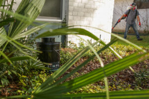 Effective one-time pest control service to eliminate pests from your property. Get a pest-free environment quickly.