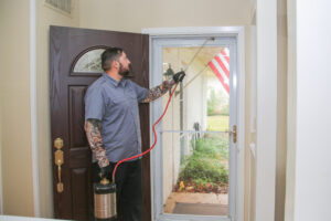 Discover the truth about DIY baits and why Simpl offers a faster, safer ant control solution